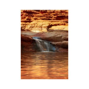 Orange Ya Glad This is a Print